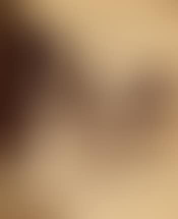 Jardin du Tuileries (preview)