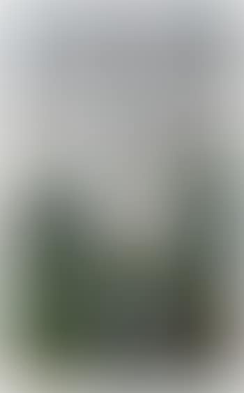 Paysage campagnard à l’étang (preview)