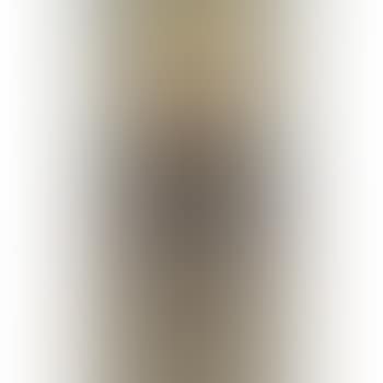 Portrait of an Official (preview)