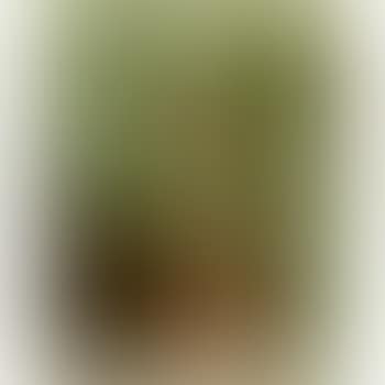 Mujer en Lila, from Mujeres suite (P. 113) (preview)