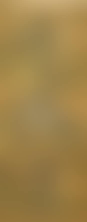 Paysage (preview)
