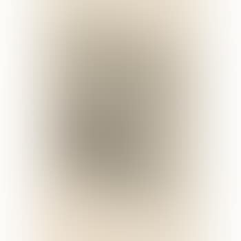 Van Rysselberque. Le Chapeau Epingle (3E Planche). Berthe Morisot by Pierre-Auguste Renoir (preview)
