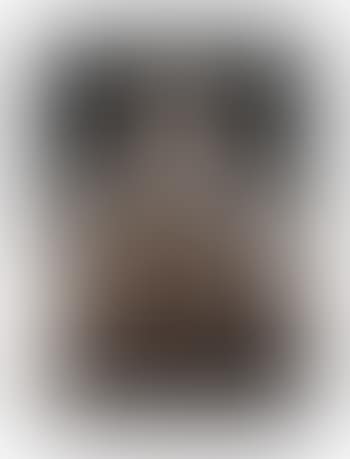 Infanta II (preview)
