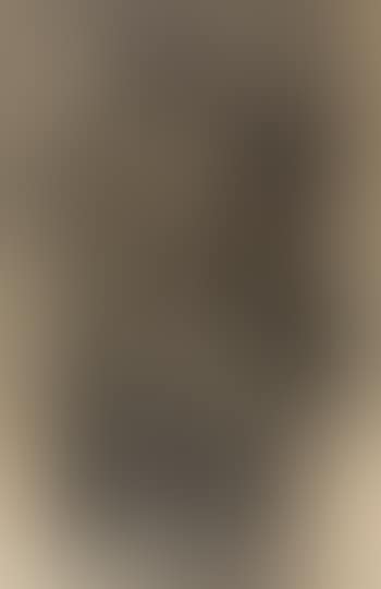 Seated nude (preview)
