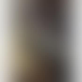 Portrait of Mrs. James Hill (preview)