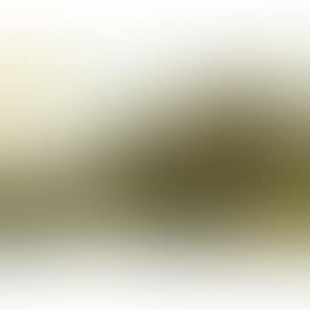 A river landscape (preview)