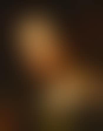 Portrait Of A Young Girl (preview)