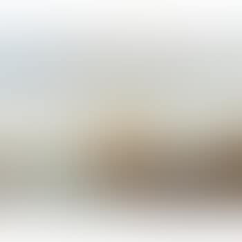 Le bassin, Venise (preview)