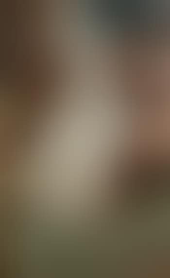 Portrait of woman in wing back chair (preview)