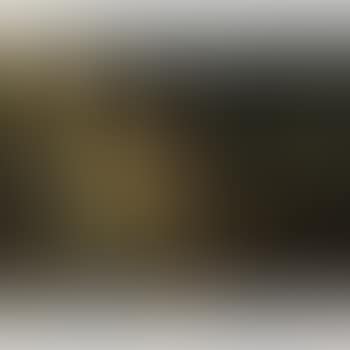 The suitor (preview)