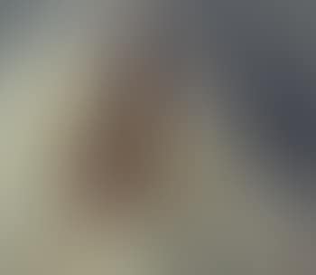 Bildnis einer Marokkanerin (preview)