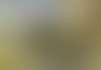 A lady on a hunter jumping a hedge (preview)