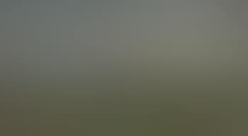 Two figures in a landscape (preview)