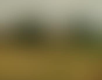 Landscape in the Black Forest (preview)
