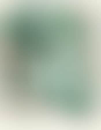 Couverture pour Douze Lithographies en couleurs, or Paysages et intérieurs (preview)