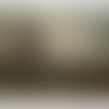 Landscape with Windmill (preview)