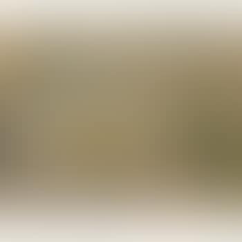 Still Life (preview)