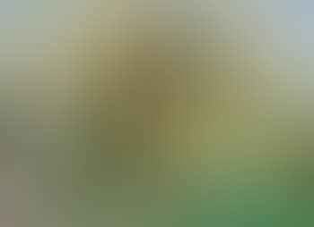Paysage de Menerbe (preview)