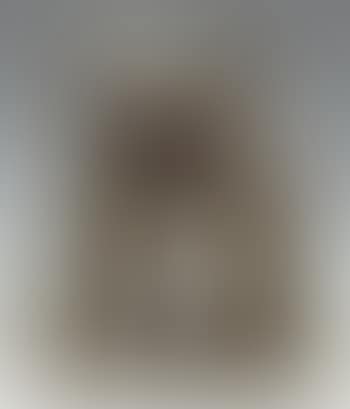 Chiens (preview)