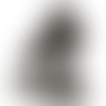 Chien du St. Bernard (preview)