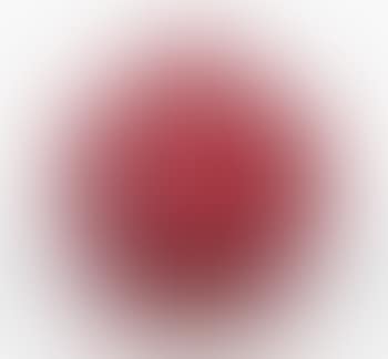 A 'Poissons' Vase (preview)