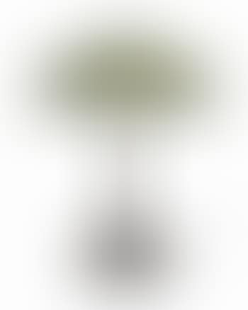 A Dogwood Table Lamp (preview)