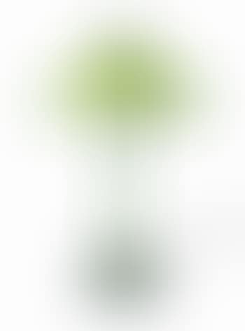 A Table Lamp (preview)