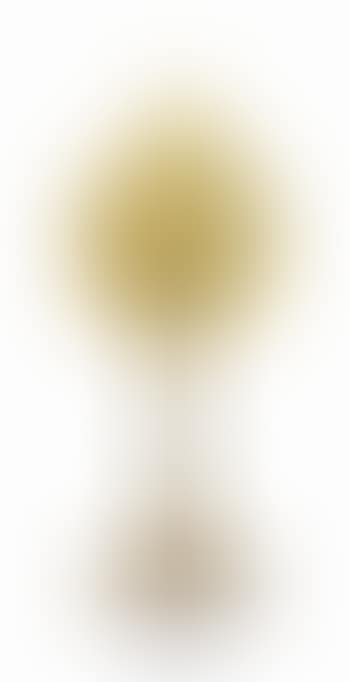A Jack-in-the-pulpit Vase (preview)