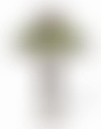 A Geranium Table Lamp (preview)
