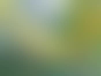 Valley Landscape (preview)