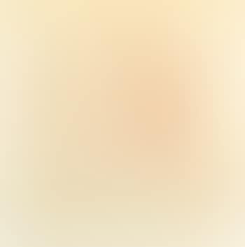 Portrait de Madame Renoir (preview)