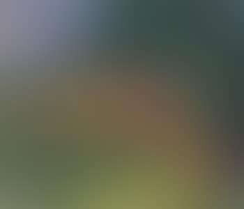 Badende am Waldteich (preview)