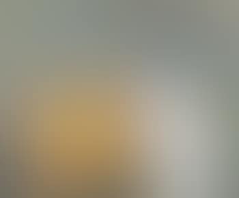 Nature morte aux oranges (preview)