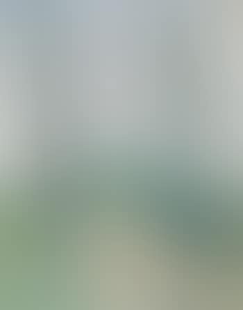 Sommerliche Bachlandschaft (preview)