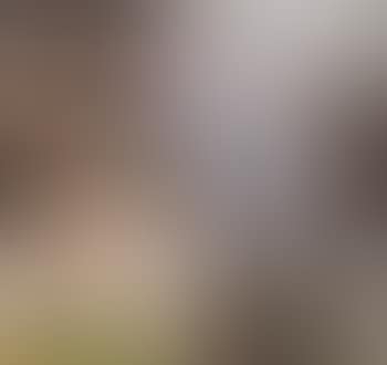 Tiroler Bauernhaus (preview)
