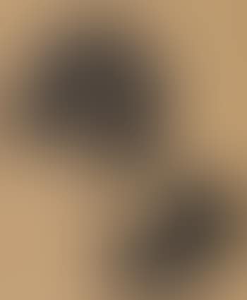 Siamesisches Blatt (preview)