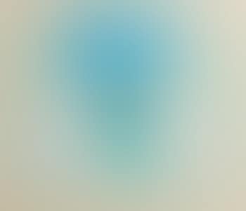 The Artist's Brushes (preview)