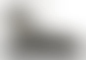 Le cabinet anthropomorphique (preview)