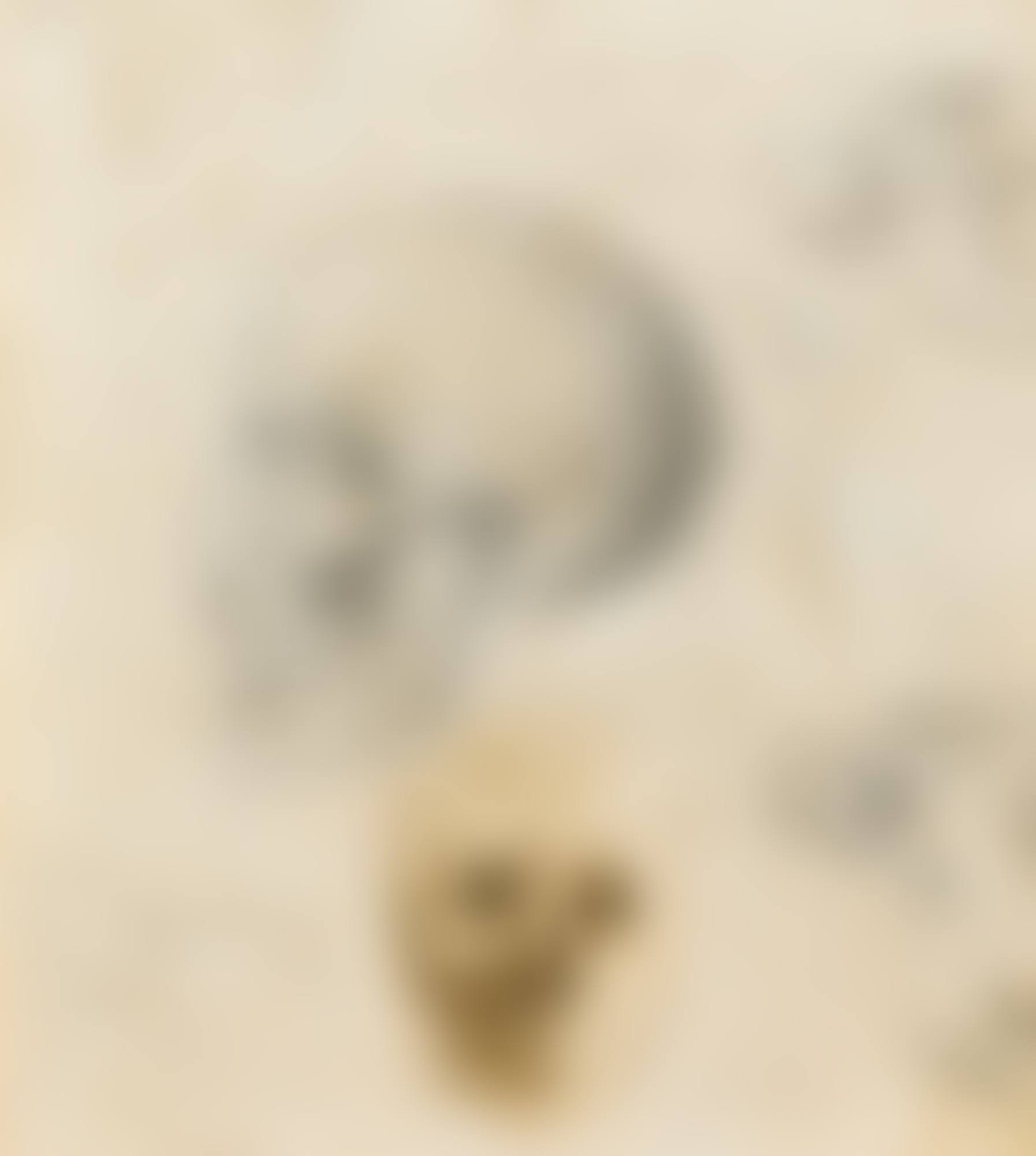 CRÂNE HUMAIN DE PROFIL ET VISAGE D'ÉCORCHÉ DE FACE. ÉTUDES D'OS  - RECTO DEUX ÉTUDES D'ENFANTS ET DE FEUILLES - VERSO (preview)
