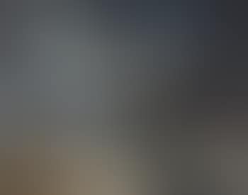 Paysage de neige (preview)