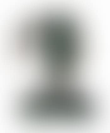 Dance of Time II (preview)
