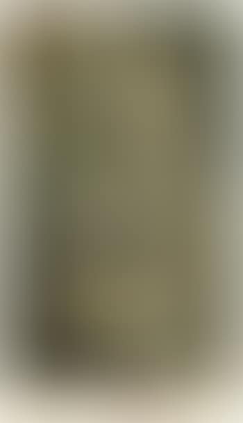 Nude descending a staircase, No. 2 (preview)