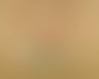 Peinture (L'oiseau) (preview)
