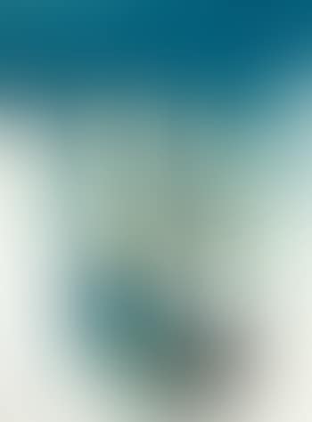 A Mrkusich Daisy (preview)