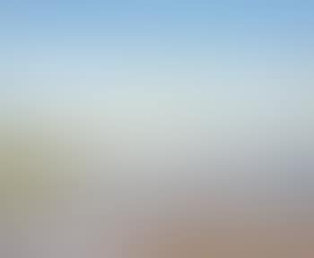 Alger, vue d’une terrasse (preview)