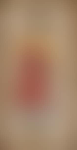Paysanne au tablier rouge, costume breton (preview)