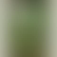 Apple-scrumping (preview)