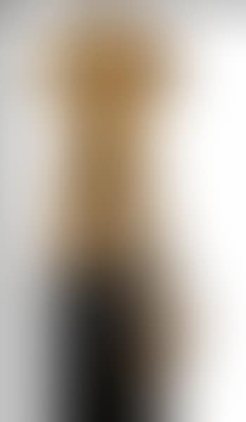Torso (preview)