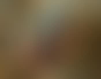Holy Family with The Young Saint John The Baptist (preview)