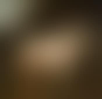 White Horse in A Landscape with A Groom (preview)